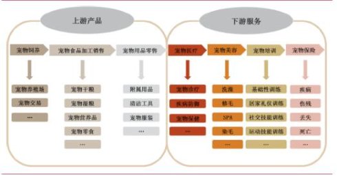 普愛(ài)醫(yī)療寵物DR