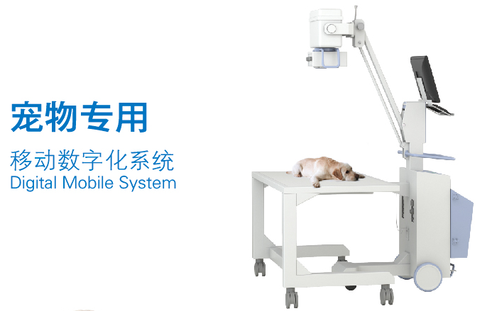 數(shù)字寵物DR